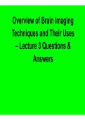 Overview of Brain Imaging Techniques and Their Uses &ndash; Lecture 3 Questions & Answers