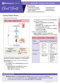 NCLEX bundle study guides