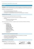 Samenvatting -  ontwikkelingspsychologie  &lpar;D013672A&rpar;