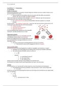 Samenvatting natuurkunde 4 vwo H3&comma; H4&comma; H5&period;