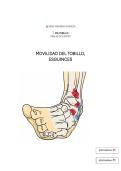 serie tobillo - movilidad y estabilidad del tobillo&comma; esguince