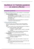 samenvatting economie H13