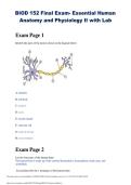 BIOD 152 Final Exam- Essential Human  Anatomy and Physiology II with Lab 