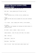 EXAM 4 Nervous system &lpar;CNS&rpar; updated 2026