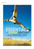 Test bank for Essentials of Human Anatomy and Physiology 10th Edition Instructor Guide with test questions and answers graded A&plus;