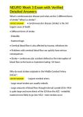 NEURO Week 3 Exam with Verified Detailed Answers&period;docx