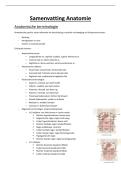 Samenvatting anatomie Locomotorisch stelsel