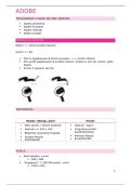 Samenvatting -  Adobe Basics