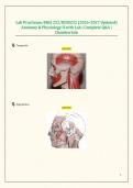 Lab Practicum&colon; BIOS 252&sol;BIOS252 &lpar;2026&ndash;2027 Updated&rpar; Anatomy & Physiology II with Lab &vert; Complete Q&A &vert; Chamberlain