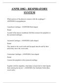 ANPH 1002 - RESPIRATORY  SYSTEM QUESTIONS AND ANSWERS 2026