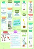 Carte mentale - tout le notionnel pour les options du concours