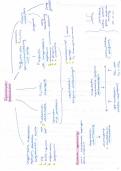 Volledige samenvatting&sol;uitwerking open vragen &lpar;slides&comma; lesnotities&comma; B&B&comma; online modules&rpar; - MFP Ademhalingsstelsel &lpar;E0I58A&rpar;