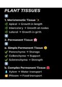 Topic&colon; Plant Tissues &lpar;Biology&rpar;