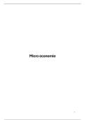 Samenvatting Micro-economie &lpar;19&sol;20&rpar;