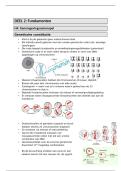 Deel 1 en deel 2 &lpar;kennismaking&plus;fundamenten&rpar; ontwikkelingspsychologie