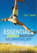 Test Bank for Essentials of Human Anatomy & Physiology &vert; Exam Questions & Answers