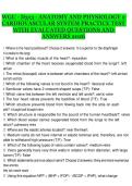 WGU D313 Anatomy and Physiology 2 Western Governors University 2026 Cardiovascular System Practice Test with Evaluated Questions and Answers