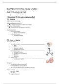 Samenvatting Ademhalingsstelsel &lpar; anatomie &rpar; -  Duidelijk&comma; gestructureerd & alles wat je moet kennen voor je examen