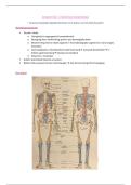 anatomie - osteologie