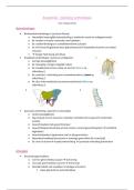 Voordeelpakket anatomie&colon; osteologie en arthrologie