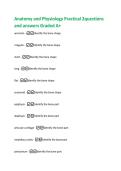 Anatomy and Physiology Practical 2questions  and answers Graded A&plus; 
