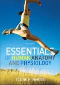Anatomy and Physiology &ndash; Human Body Organization