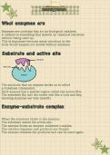 Struggling with functions and relations&quest; These neat and simple notes break everything down &mdash; from domain&comma; codomain&comma; to mapping diagrams &mdash; super easy to understand&excl;