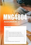 MNG4804 Assignment 3 Semester 2 2026 - Due 16 October 2026