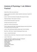 BIOL251 Human Anatomy & Physiology I w&sol;Lab Exams Latest 2026&sol;2027 Exam Questions and Verified Solutions  &lpar;complete bundle&rpar;
