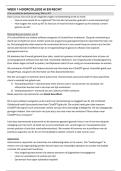 College-aantekeningen AI & Recht 2025