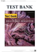 An Introduction to Brain and Behavior 6th Edition by Bryan Kolb&comma; Ian Q&period; Whishaw&comma; G&period; Campbell Teskey