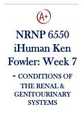 NRNP 6550  iHuman Ken  Fowler&colon; Week 7 - CONDITIONS OF  THE RENAL &  GENITOURINARY  SYSTEMS 