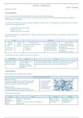Semestre 1 - Dermatologie