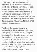Essay about the Black Consciousness Movement 