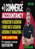 Accountancy plus one