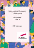 Samenvatting Werkgroep les A en B&period; Zorgadvies OWE 8 Leerjaar 2 HAN 