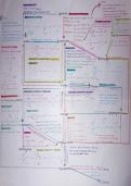 Complete Summary of Organic Chemistry Mechanisms
