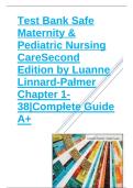 Test Bank for Safe Maternity & Pediatric Nursing Care&comma; 2nd Edition by Luanne Linnard Palmer &vert; Complete Chapters 1&ndash;38 with Verified Answers