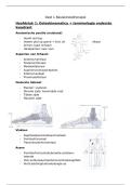 Basiskinesitherapie 2&colon; Onderste kwadrant - samenvatting - 1e Bach