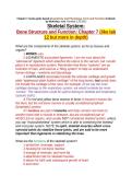 Chapter 7 study guide based on Anatomy and Physiology&comma; Form and Function textbook by McKinley Questions and Answers Graded A&plus;