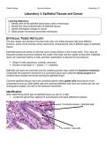 Laboratory 3 Epithelial Tissues and Cancer Comprehensive Study Guide &plus; Exam Questions & Solutions Graded A&plus;