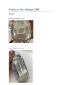 Practicum parasitologie foto&DiacriticalAcute;s 