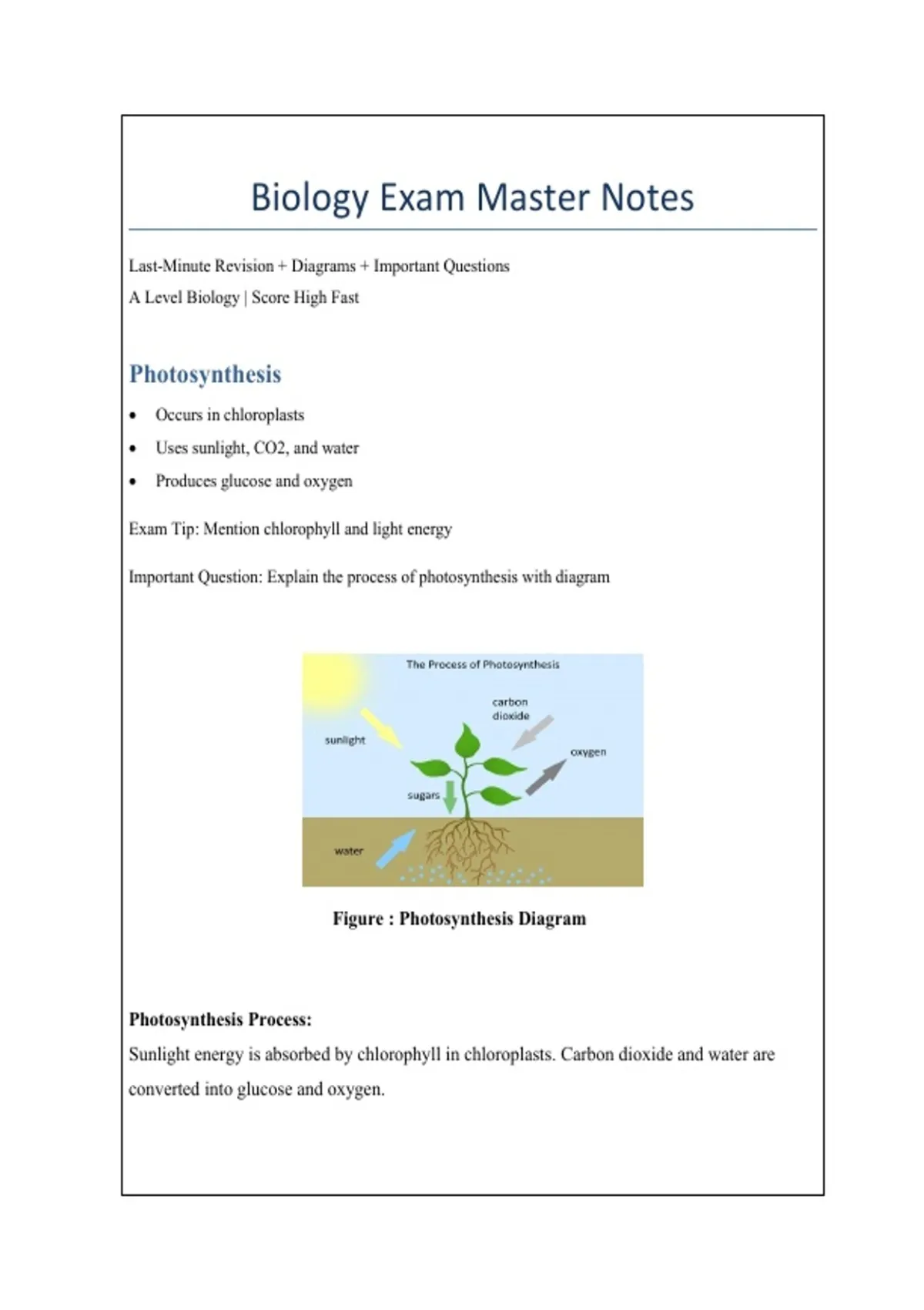 Biology Cheat Sheet PDF | Photosynthesis, Cell Structure & Digestive ...