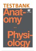Anatomy and Physiology OpenStax Test Bank &vert; Complete Chapters 1-28 &vert; Original Questions & Answers