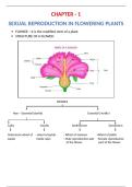 SEXUAL REPRODUTION IN FLOWERING PLANT