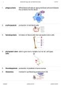 HESI Biology & General Biology Exam Bundle &ndash; Nursing Entrance Exam Questions&comma; Practice Tests&comma; and Study Guides