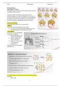 Samenvatting Neuropsychologie &ndash; Hoorcolleges &plus; Boek 