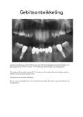 Tentamen mondzorgkunde jaar 1&comma; Gebitsontwikkeling