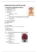 Samenvatting Nefrologie - Verpleegkunde - Compleet en duidelijk - Examengericht &lpar; incl&period; GFR&comma; dialyse&comma; nierinsuffici&euml;ntie &rpar;