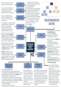Samenvatting MK4 &lpar;dmv mindmaps&rpar;